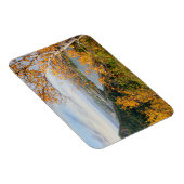 Flexible Magnet Bluff & Birch Panorama (Côté Droit)