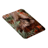 Flexible Magnet Bobcat Kitten (Côté Droit)