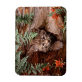 Flexible Magnet Bobcat Kitten (Vertical)