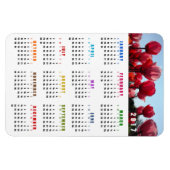 Flexible Magnet Calendrier 2017 - Jardin des tulipes de Pêc (Horizontal)