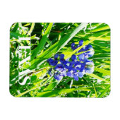 Flexible Magnet de bleuets texans (Horizontal)
