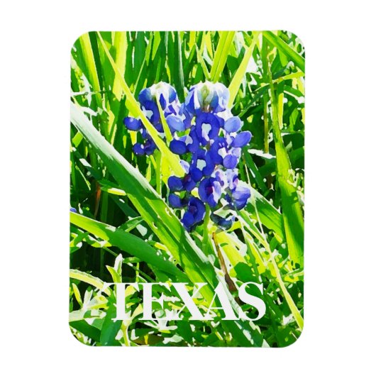 Flexible Magnet de bleuets texans (Vertical)