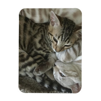 Flexible Magnet de chatons du Bengale