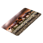 Flexible Magnet de chevaux (Côté Gauche)