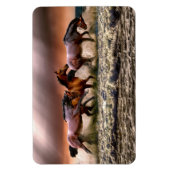 Flexible Magnet de chevaux (Vertical)