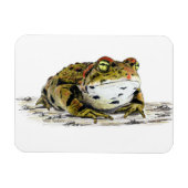 Flexible Magnet de crapaud de l'Ouest (Horizontal)