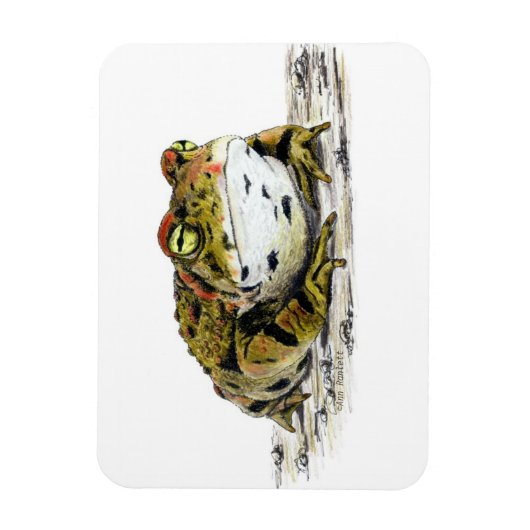 Flexible Magnet de crapaud de l'Ouest (Vertical)