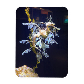 Flexible Magnet de dragon feuillus