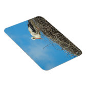 Flexible Magnet de nifique (Côté Droit)