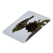 Flexible Magnet de perche de tournesol Goldfinch (Côté Gauche)