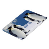 Flexible Magnet de pingouins (Côté Gauche)