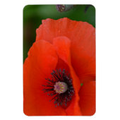 Flexible Magnet de Poppy (Vertical)