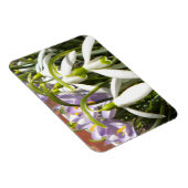 Flexible Magnet de printemps de Bloomin (Côté Droit)