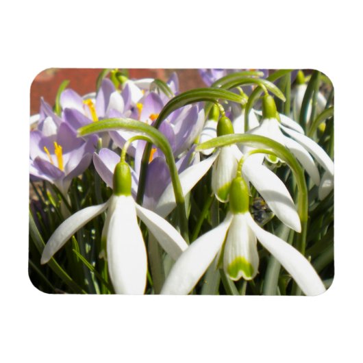 Flexible Magnet de printemps de Bloomin (Horizontal)