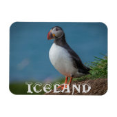FLEXIBLE MAGNET DE PUFFIN ISLANDE (Horizontal)
