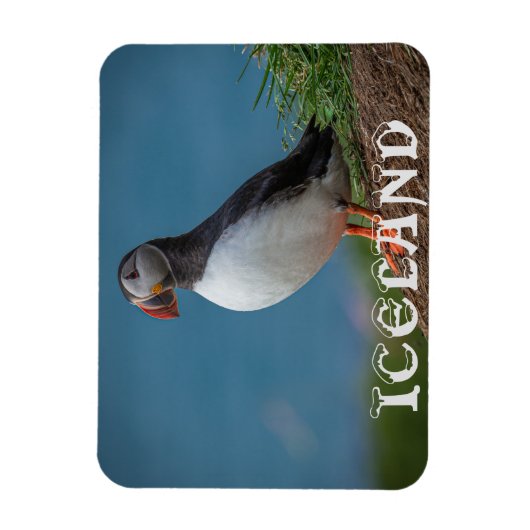 FLEXIBLE MAGNET DE PUFFIN ISLANDE (Vertical)
