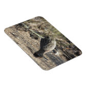 Flexible Magnet de roadrunner (Côté Droit)