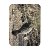 Flexible Magnet de roadrunner (Vertical)