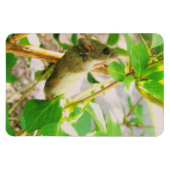 Flexible Magnet de souris (Horizontal)