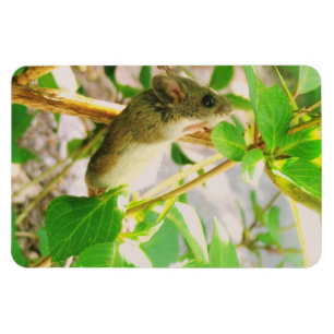 Flexible Magnet de souris