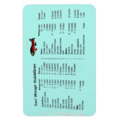 FLEXIBLE MAGNET DE STOCKAGE ALIMENTAIRE (Vertical)