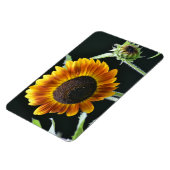 Flexible Magnet de tournesol (Côté Gauche)