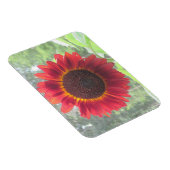 Flexible Magnet de tournesol (Côté Droit)