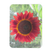 Flexible Magnet de tournesol (Vertical)