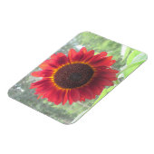 Flexible Magnet de tournesol (Côté Gauche)