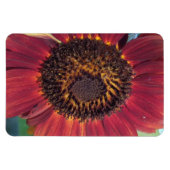 Flexible Magnet de tournesol rouge (Horizontal)