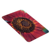 Flexible Magnet de tournesol rouge (Côté Droit)