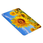 Flexible Magnet de tournesols (Côté Droit)