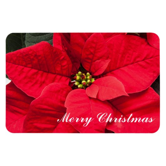 Flexible Magnet de vacances Poinsettia (Horizontal)