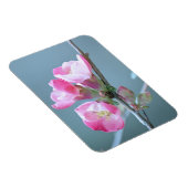 Flexible Magnet de vinyle Apple Blossom #P0358 (Côté Droit)