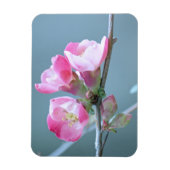 Flexible Magnet de vinyle Apple Blossom #P0358 (Vertical)