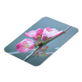 Flexible Magnet de vinyle Apple Blossom #P0358 (Côté Gauche)