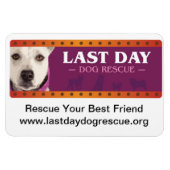 Flexible Magnet de voiture LDDR (Horizontal)