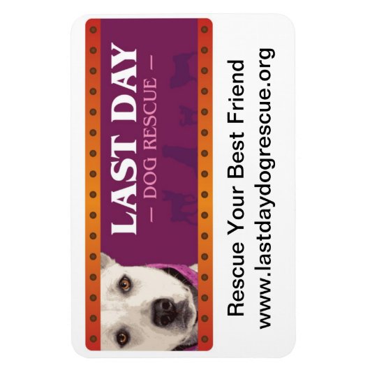 Flexible Magnet de voiture LDDR (Vertical)