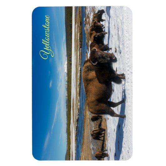 Flexible Magnet de Yellowstone (Vertical)