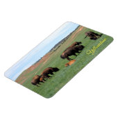 Flexible Magnet de Yellowstone (Côté Gauche)