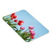 Flexible Magnet des Tulipes du printemps (Côté Droit)