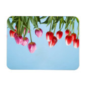 Flexible Magnet des Tulipes du printemps (Horizontal)