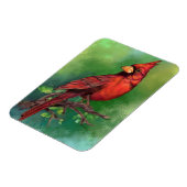 Flexible Magnet du Cardinal rouge du Nord (Côté Gauche)