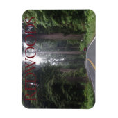 Flexible Magnet du parc national Redwoods (Vertical)
