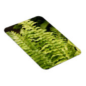 Flexible Magnet - Ferme de tigre (Côté Droit)