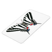 Flexible Magnet Flexi de papillon Zebra Swallowtail (Côté Gauche)