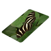 Flexible Magnet Flexi de papillon zébrée (Côté Gauche)