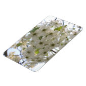 Flexible Magnet - Flexi - Fleur Bradford Pear (Côté Gauche)