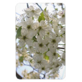 Flexible Magnet - Flexi - Fleur Bradford Pear (Vertical)