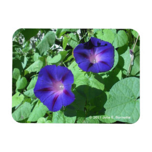 Flexible Magnet Flexi pour les souvenirs du matin